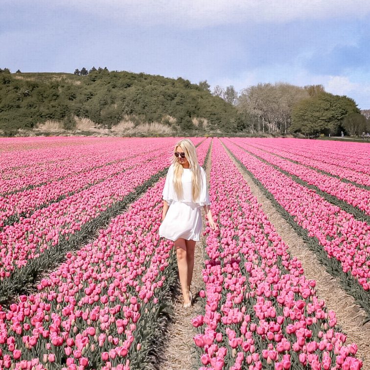 Walking through flower field